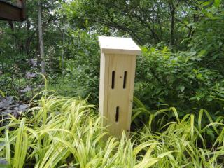 Butterfly Box